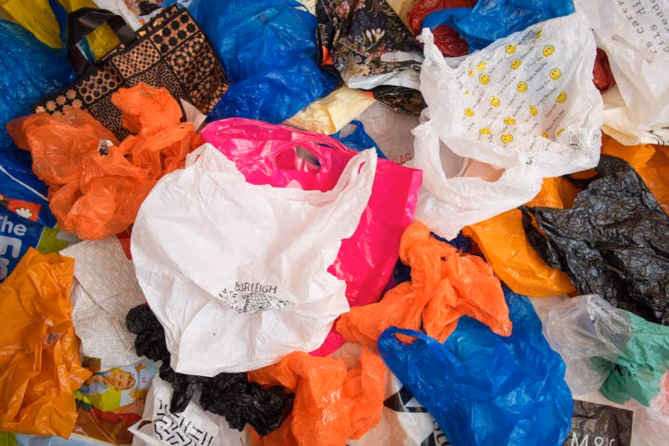 Plastic bags of various kinds which are one of the major contributors to plastic pollution