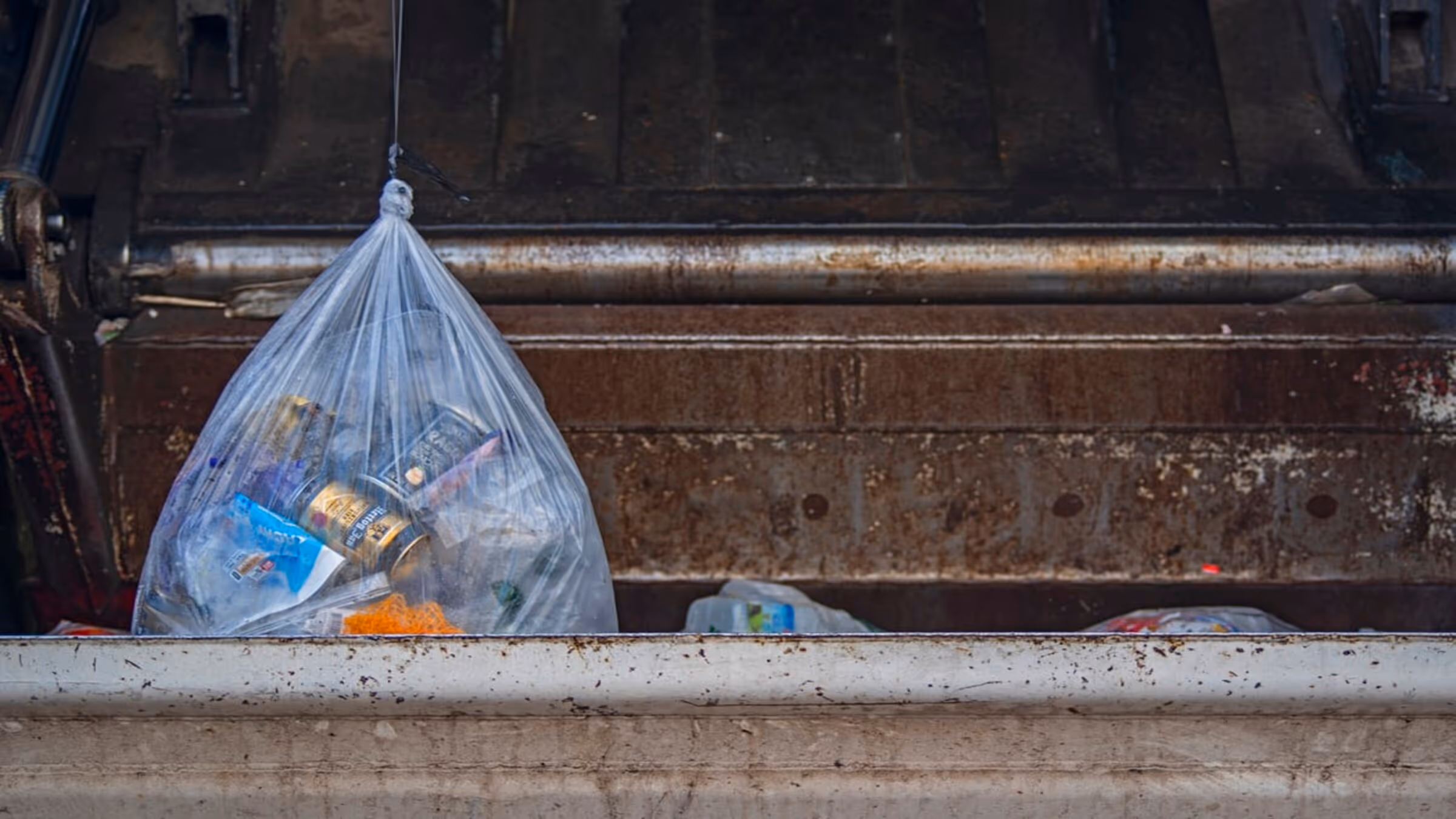 Which Plastics are the Major Contributors to Plastic Pollution?