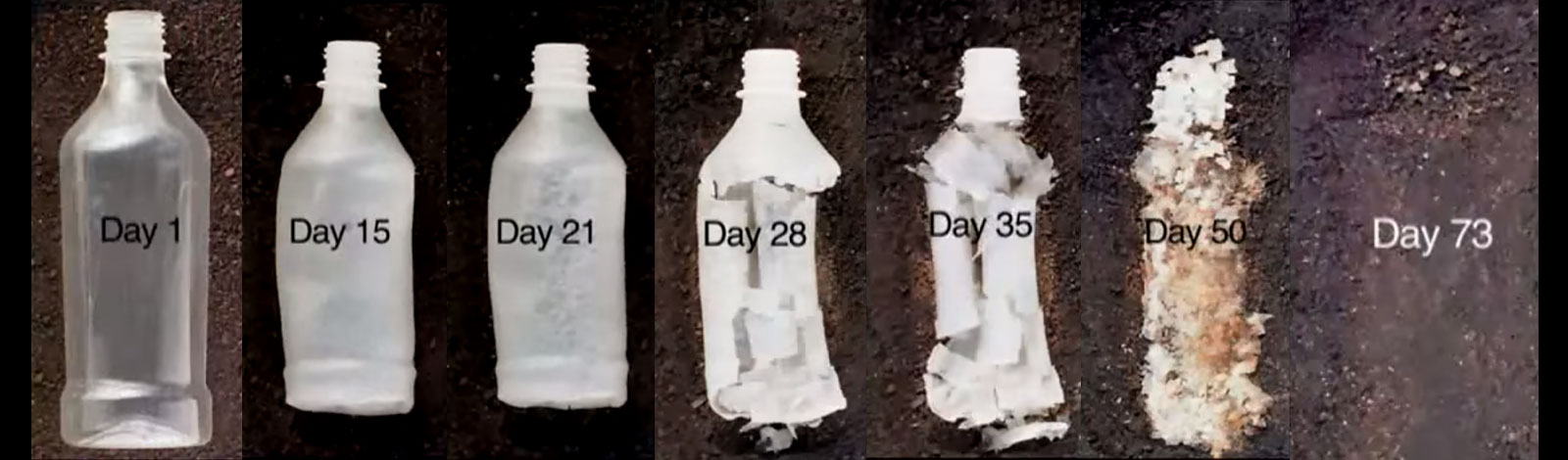 Plastic bottle made from biodegradable plastic disappearing back into the Earth