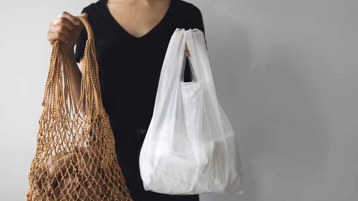 Swapping to net/ cloth bags as an alternative to plastic carry bags to start a zero-waste journey