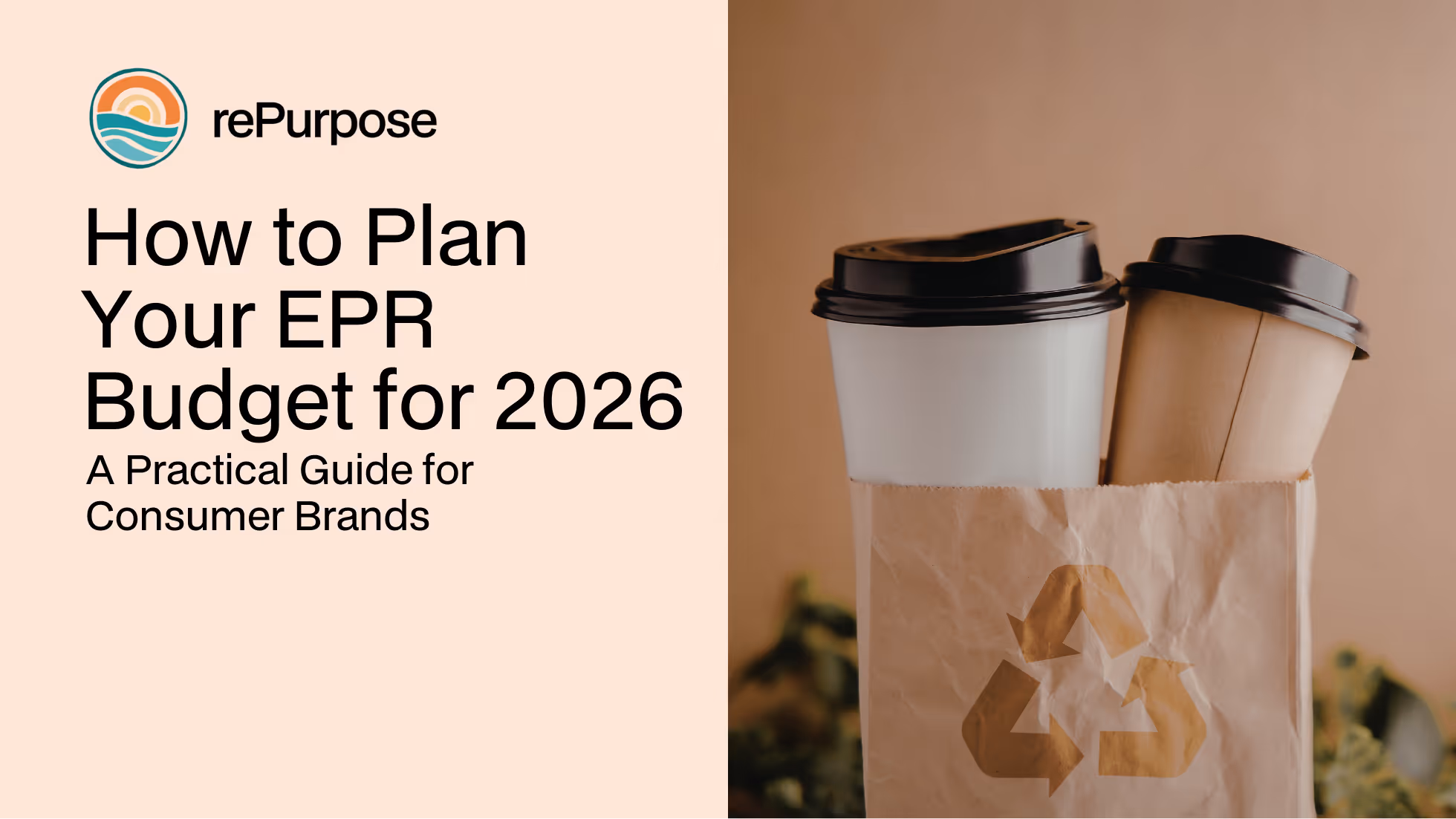 How to Plan Your EPR Budget for 2026: A Practical Guide for Consumer Brands