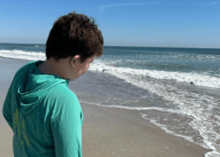 A young boy with short brown hair, wearing a blue long sleeve shirt. He is standing on the beach in front of the ocean. The photo is taken from behind him.