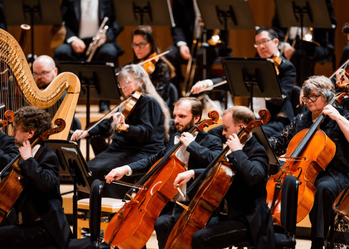 A group of musicians play their instruments during a Symphony.