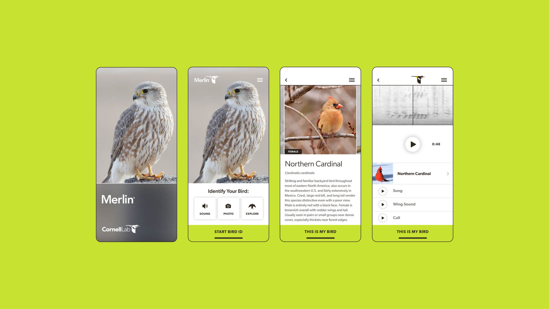A series of mobile app screens for the Cornell Lab's Merlin Bird ID app. The screens show bird identification tools with photos, species information, and options to listen to bird calls.