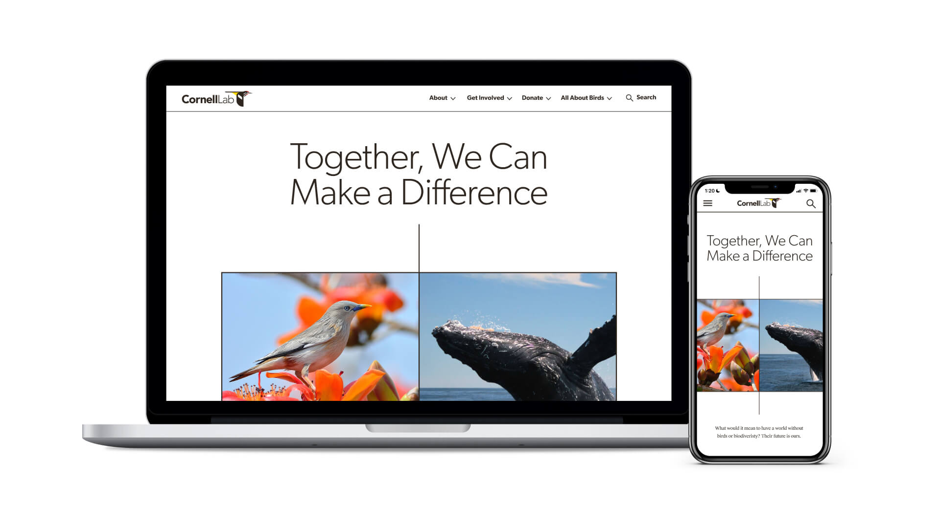 A responsive design showcase of the Cornell Lab website displayed on a laptop and a smartphone. The laptop shows a homepage with a bird and whale image and the tagline "Together, We Can Make a Difference," while the smartphone displays a mobile-friendly layout of the same content.