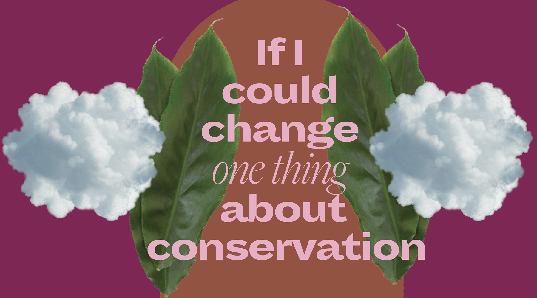 Abstract Collage that reads ‘If I could change one thing about conservation’