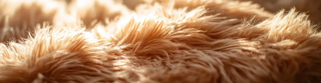 A detailed close-up of light brown fur with soft, fluffy texture illuminated by warm sunlight.