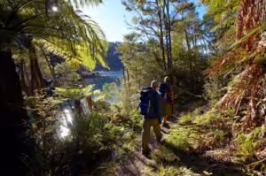 lake waikaremoana