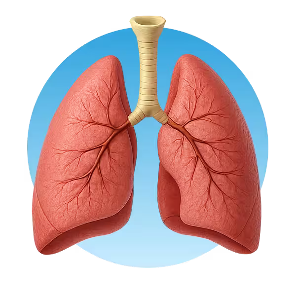 Icône symbolisant la protection de la santé respiratoire par l’entretien de climatisation.