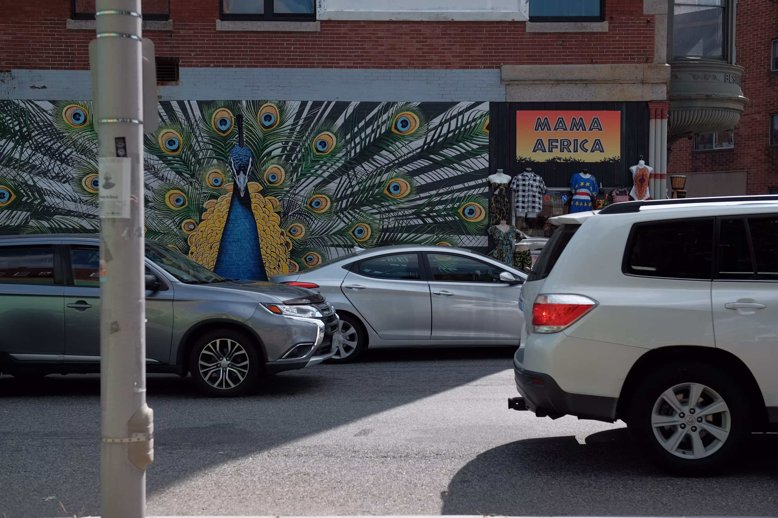 Peacock mural beside parked cars in Pawtucket