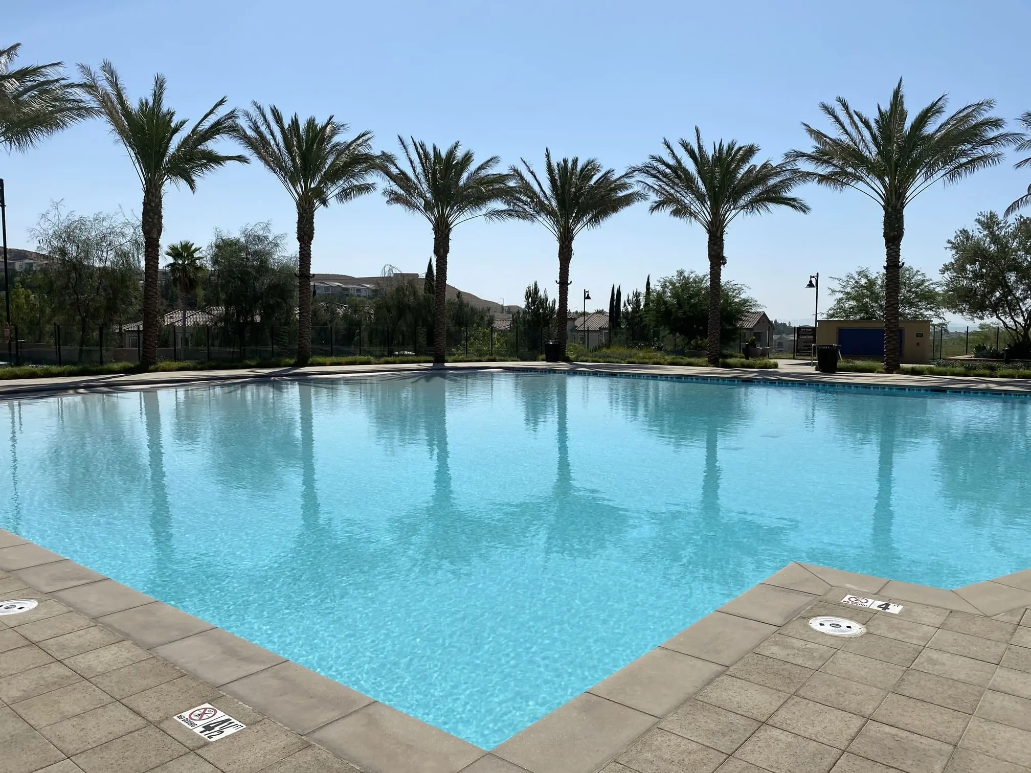Clear outdoor swimming pool surrounded by palm trees and sunny sky.