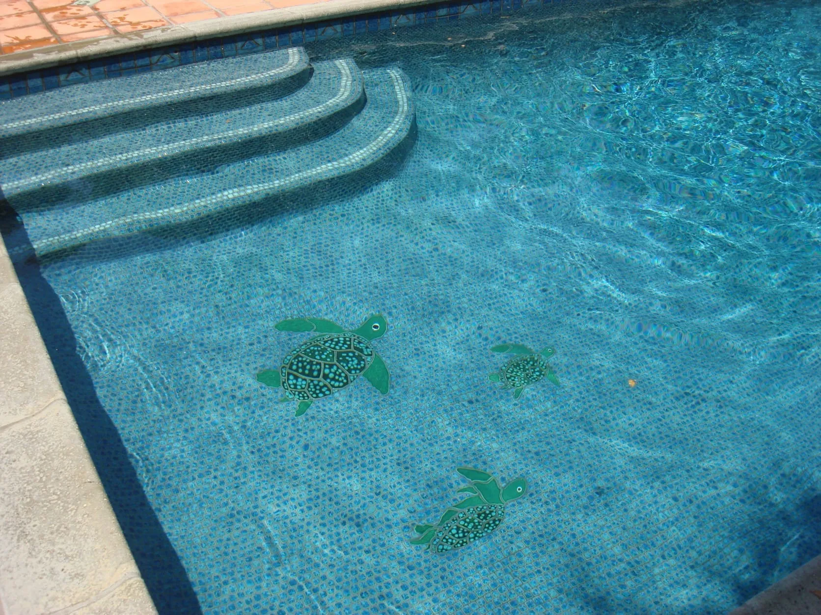 Swimming pool with blue tile steps and three green turtle mosaics on the pool floor.