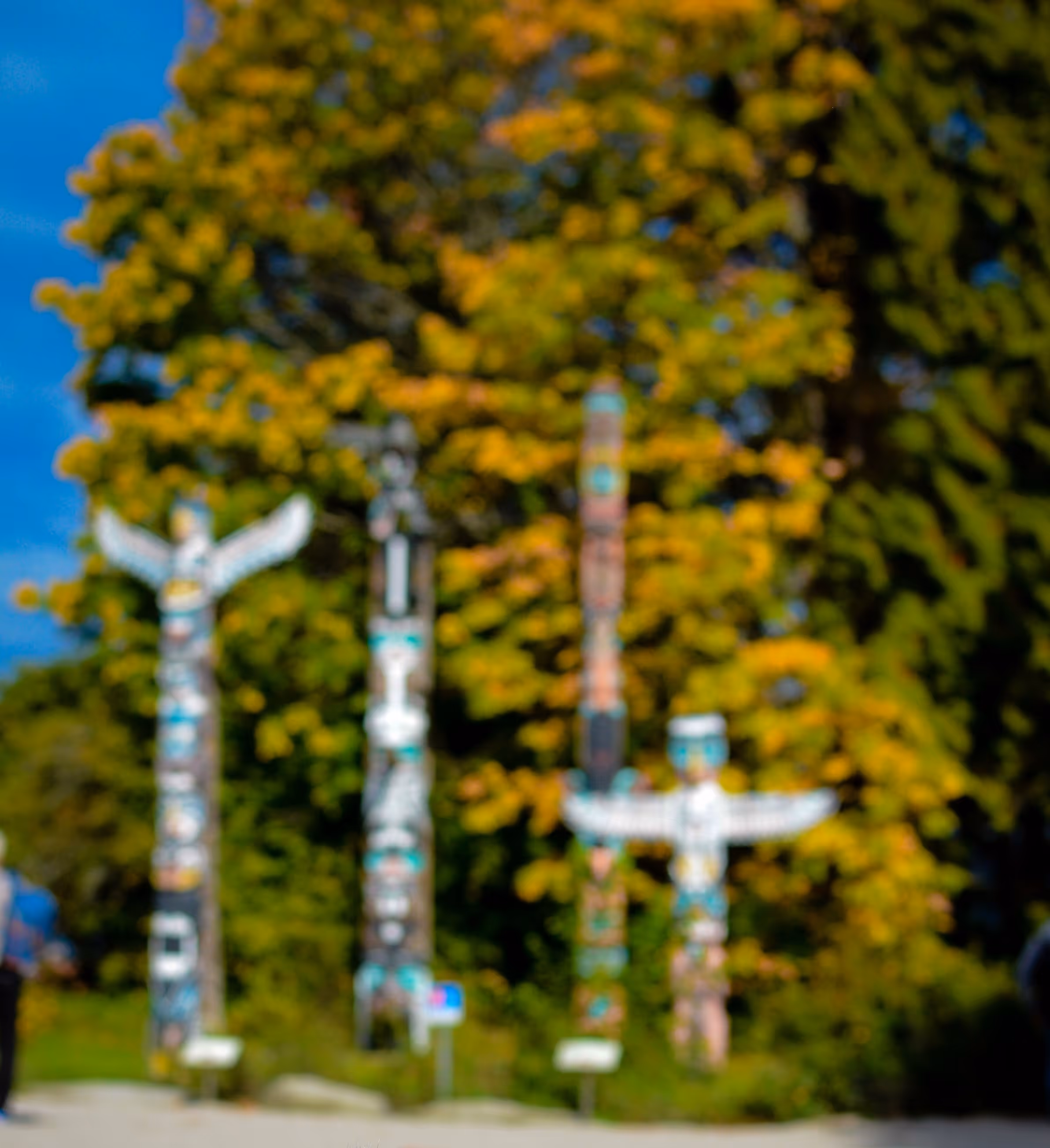 Blurred image of four colorful totem poles with trees and a blue sky in the background.