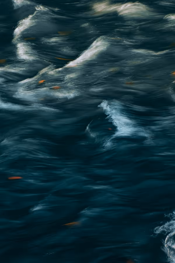 Close-up of dark water surface with gentle white waves and scattered small orange leaves.