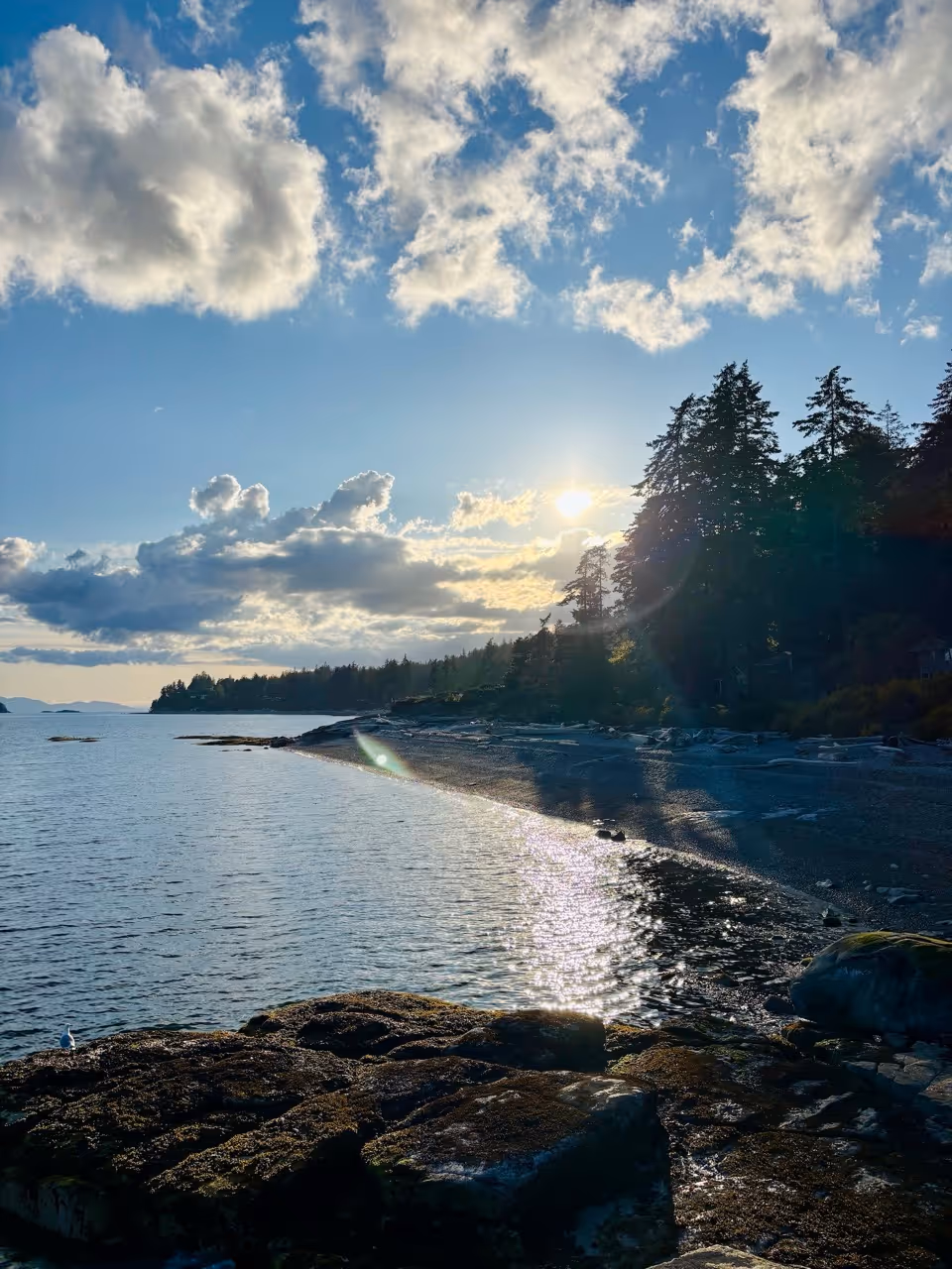 Sunlight reflecting on calm ocean water with rocky shoreline and trees under a partly cloudy sky.