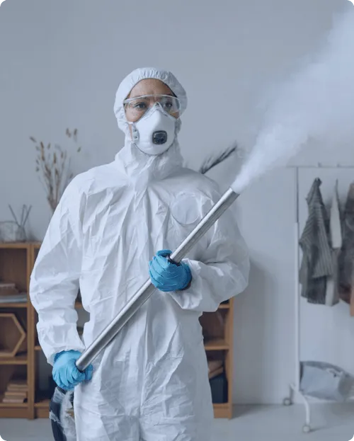 Who We Are Section Image