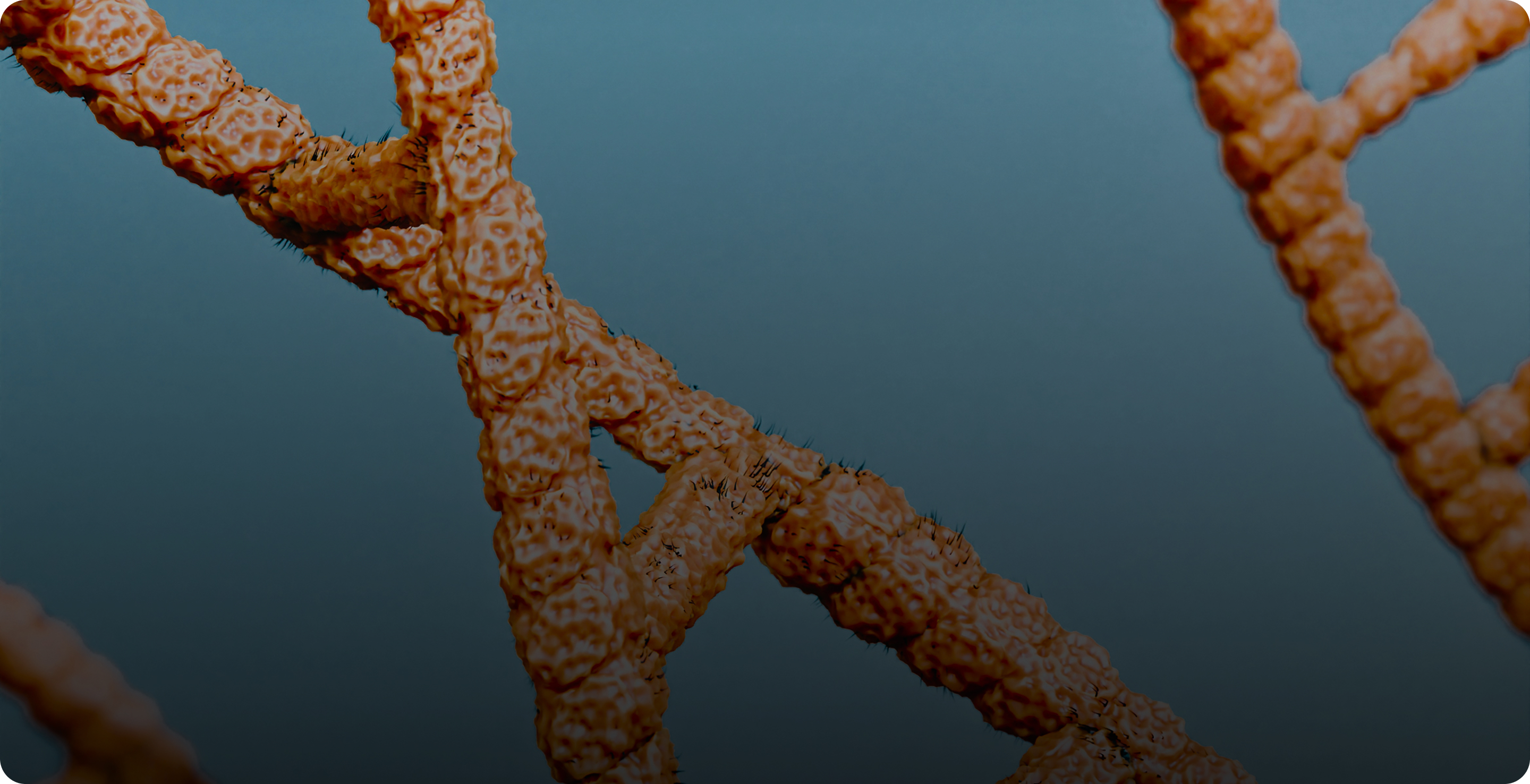 Close-up view of textured, orange, branching coral-like structures against a blue background.