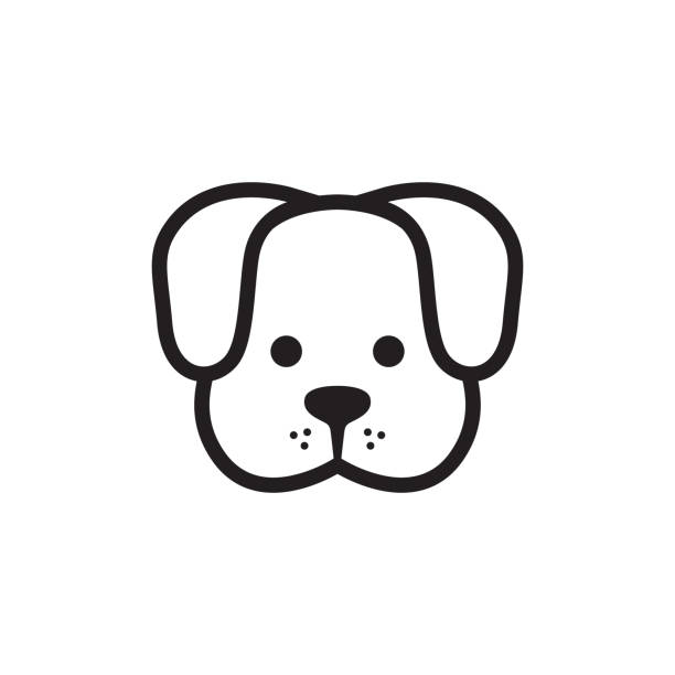 Portrait of this team member