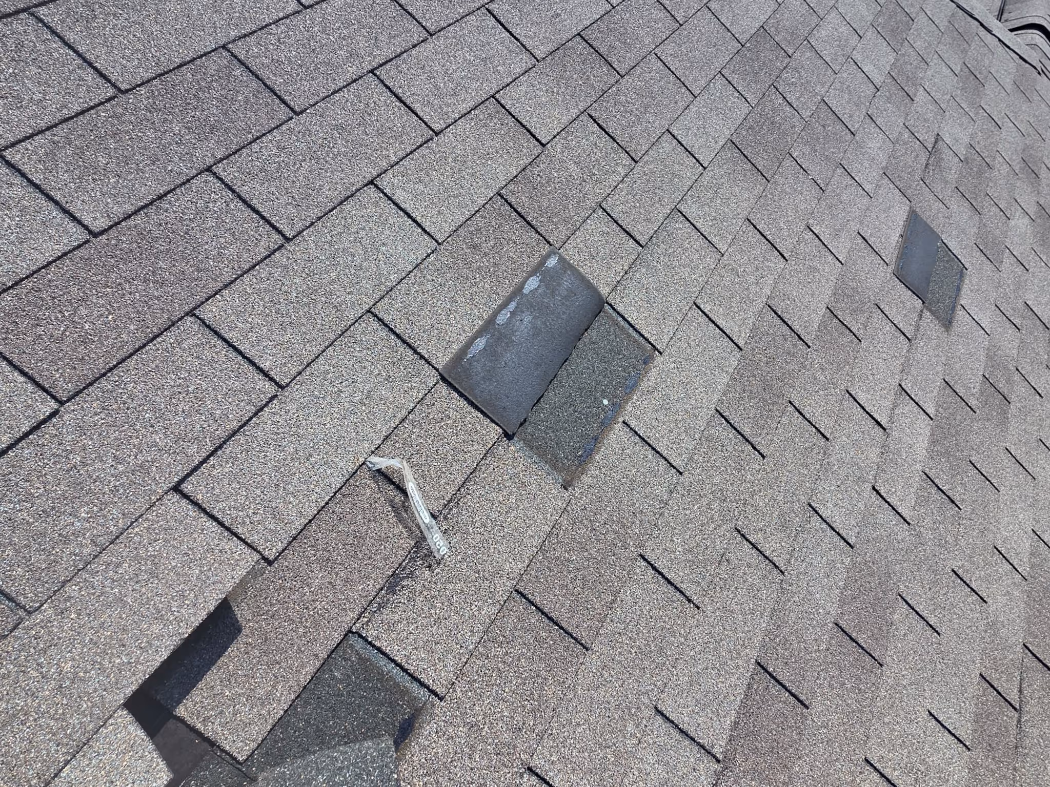 Wind damaged asphalt shingles on a Maryland roof