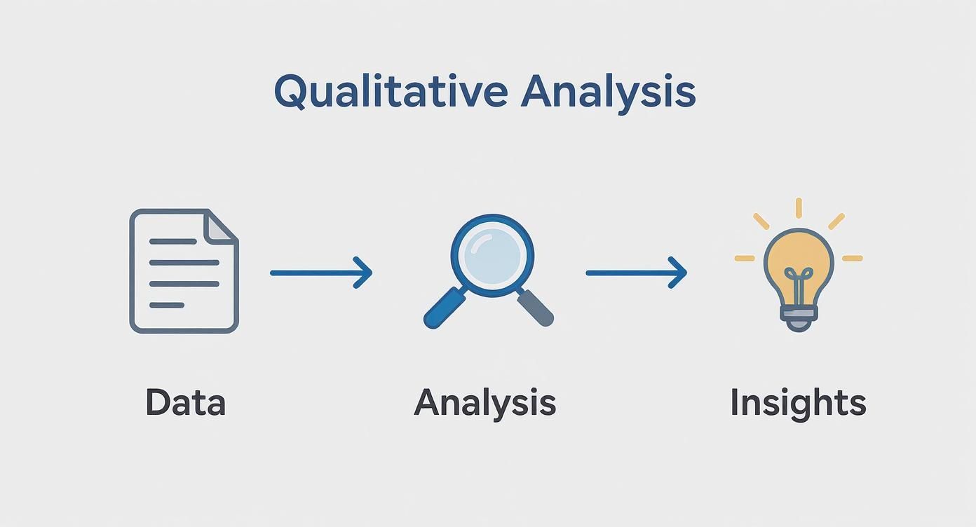 Qualitative analysis process flowchart showing data collection, magnifying glass analysis, and lightbulb insights stages