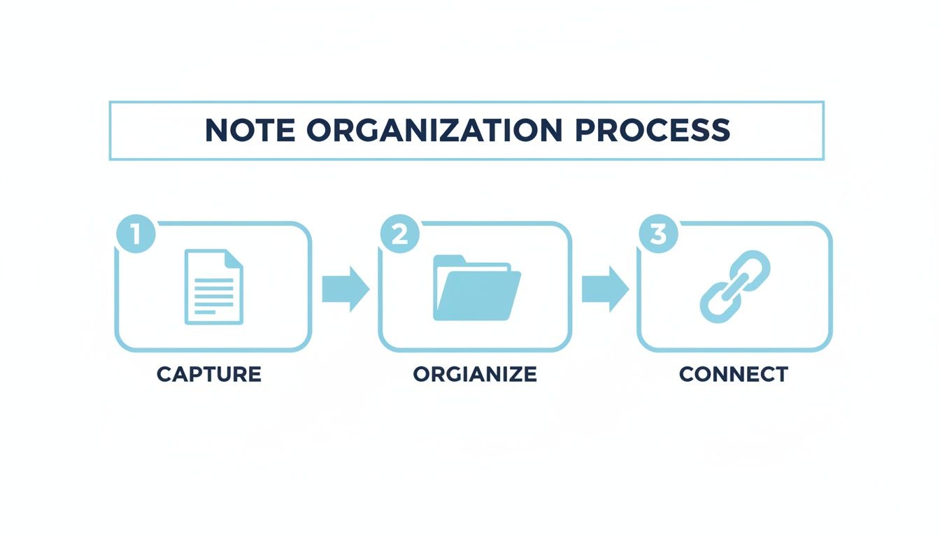A three-step infographic illustrates the note organization process with icons for Capture, Organize, and Connect.