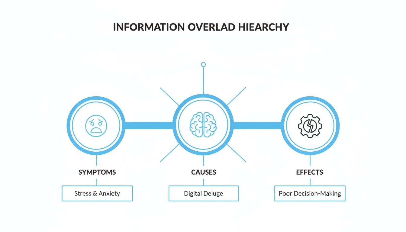 Hierarchy diagram showing information overload causes (digital deluge), symptoms (stress, anxiety), and effects (poor decision-making).