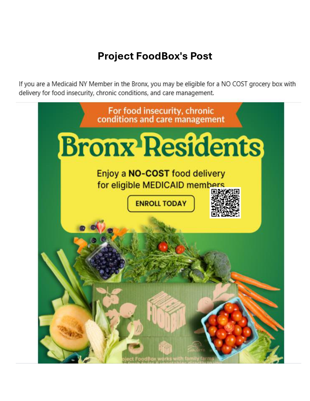 Project FoodBox free grocery delivery flyer for Bronx Medicaid members