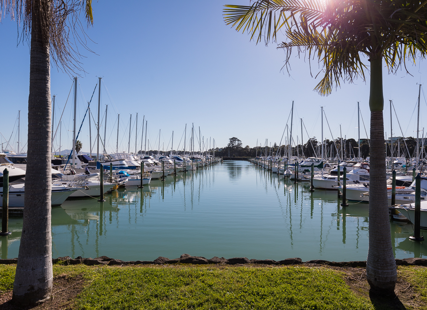 Pine Harbour Marina berths and waterfront