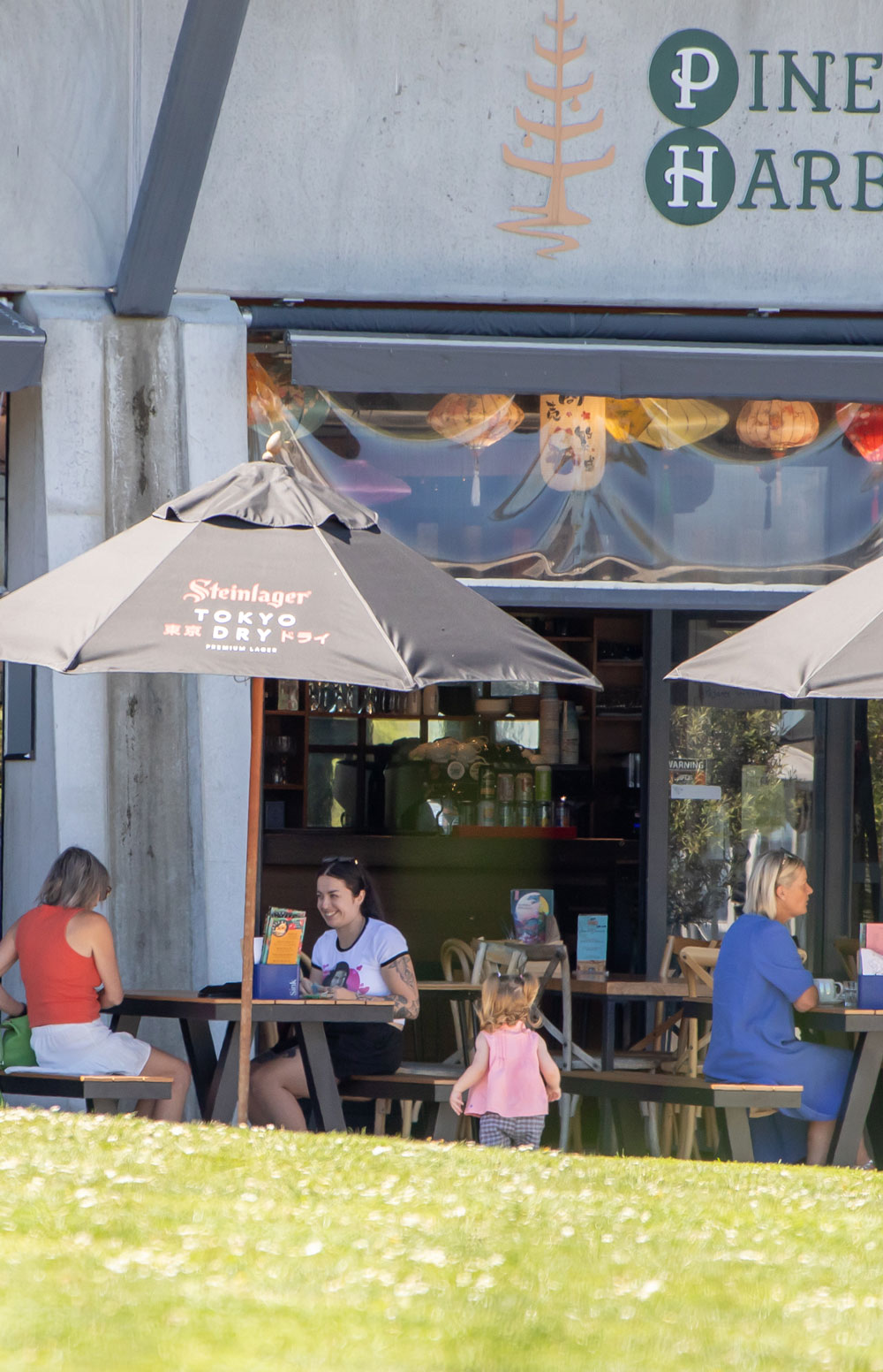 Pine Harbour Marina vessels and berths