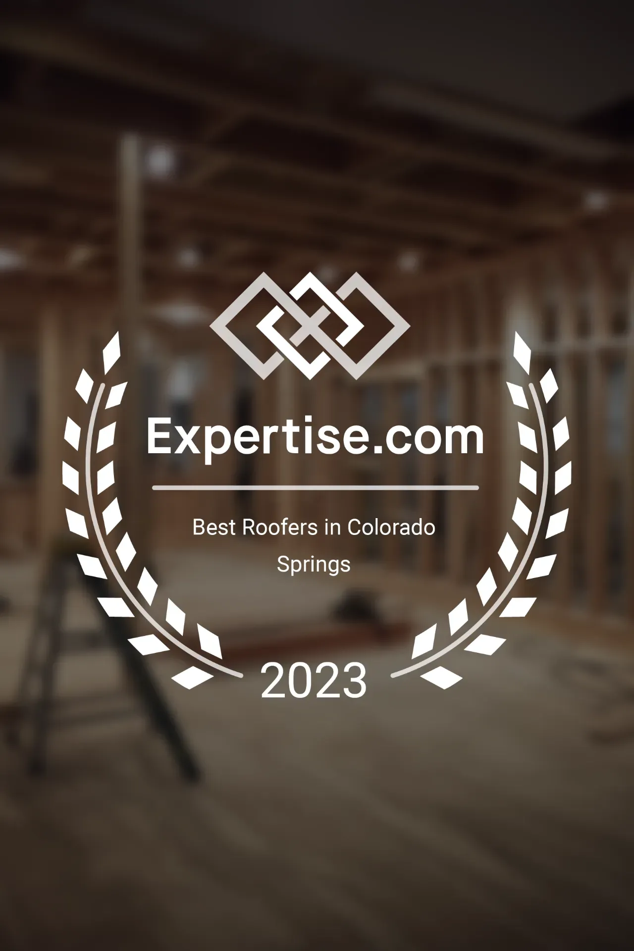 2023 Expertise Award