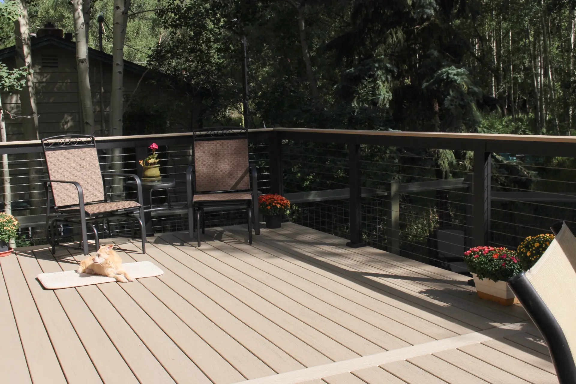 Sunny deck with two empty chairs and a small table adorned with a flower pot. A relaxed cat lies on a mat. Vibrant potted flowers accent the space.
