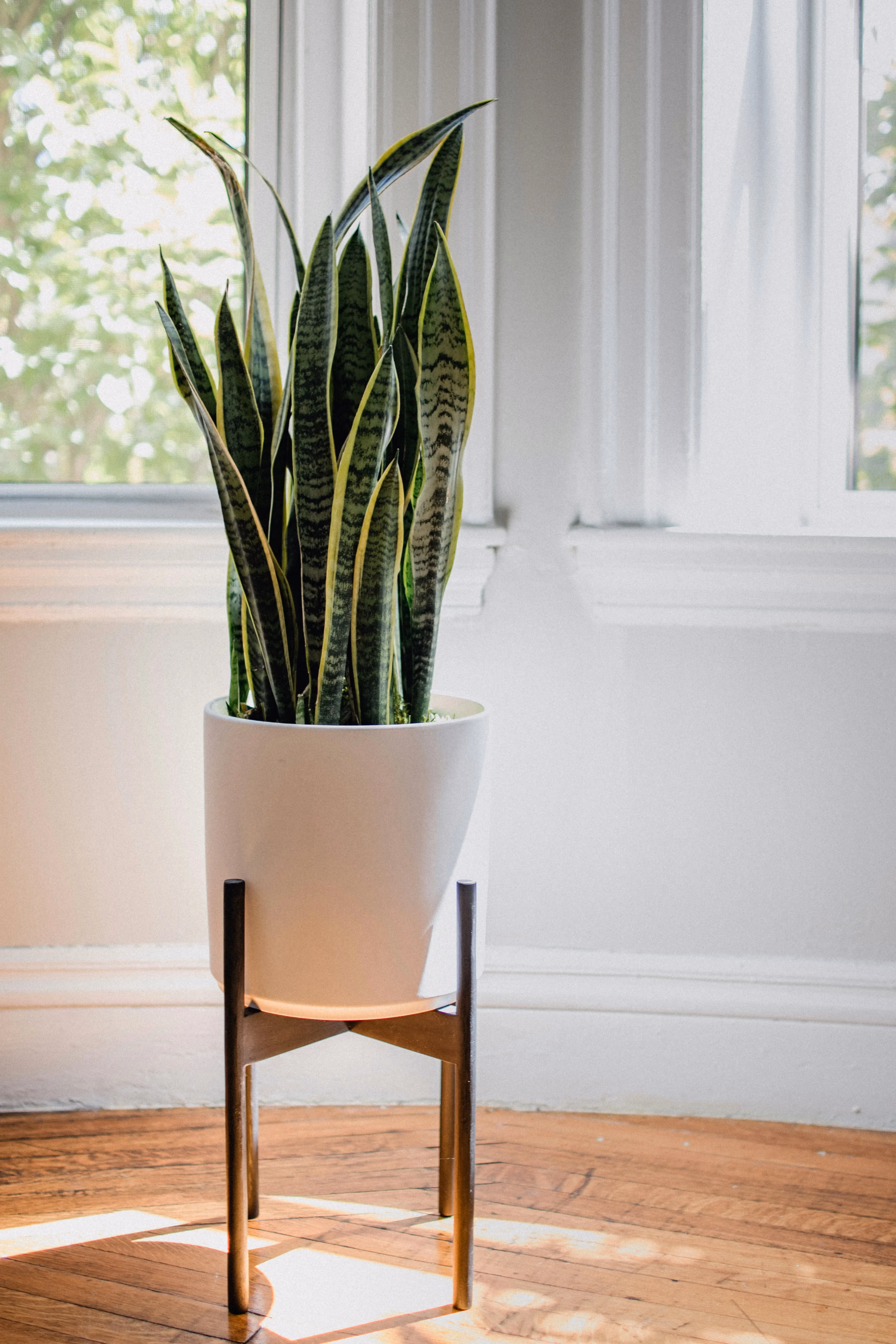 How to Improve Your Home’s Air Quality: 5 Easy Steps to Breathe Easier in 2025