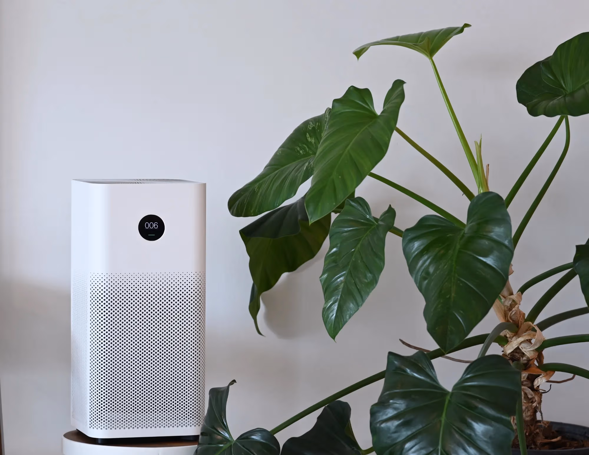 The Connection Between Home Repairs and Indoor Air Quality