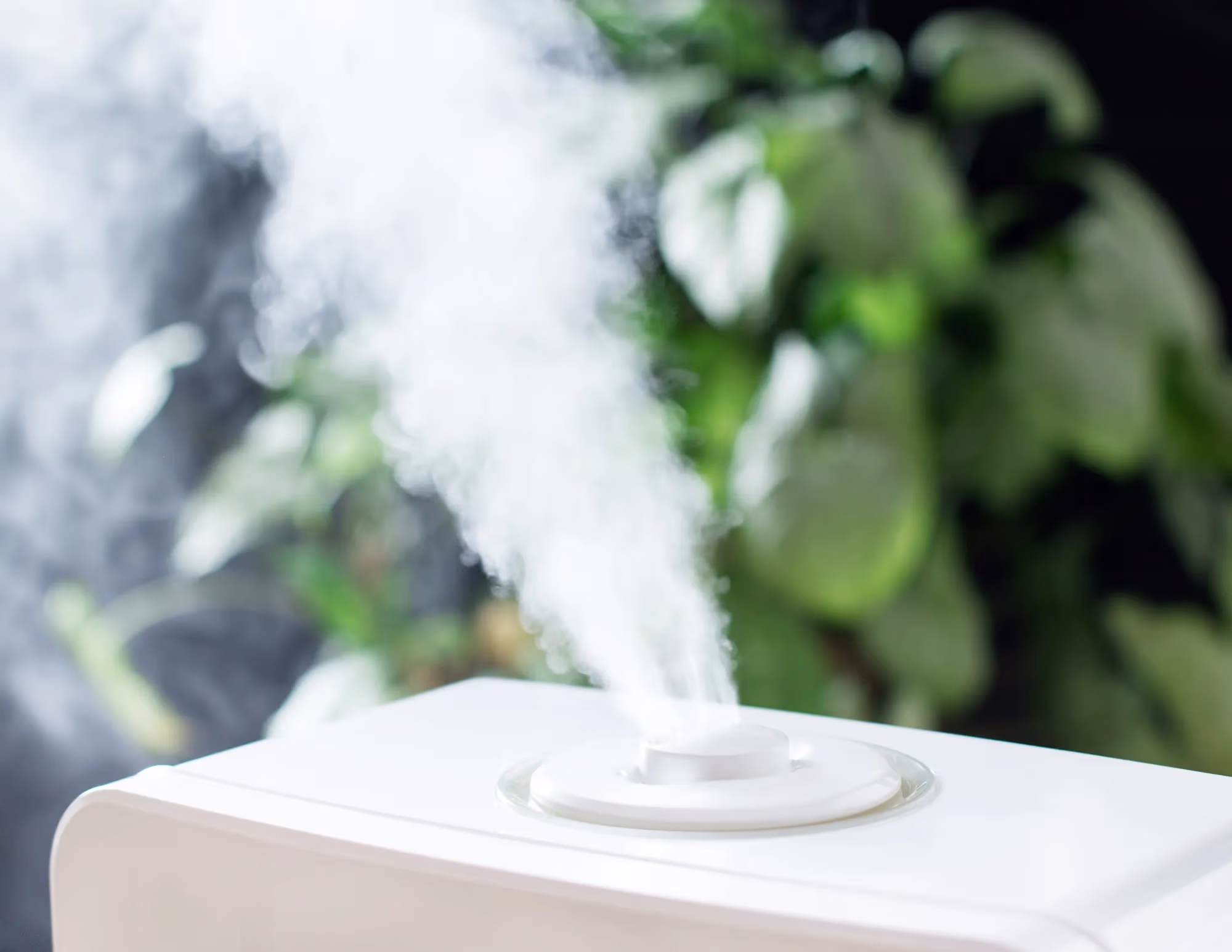 Is a Whole-House Humidifier Worth It? What Colorado Springs Homeowners Should Know