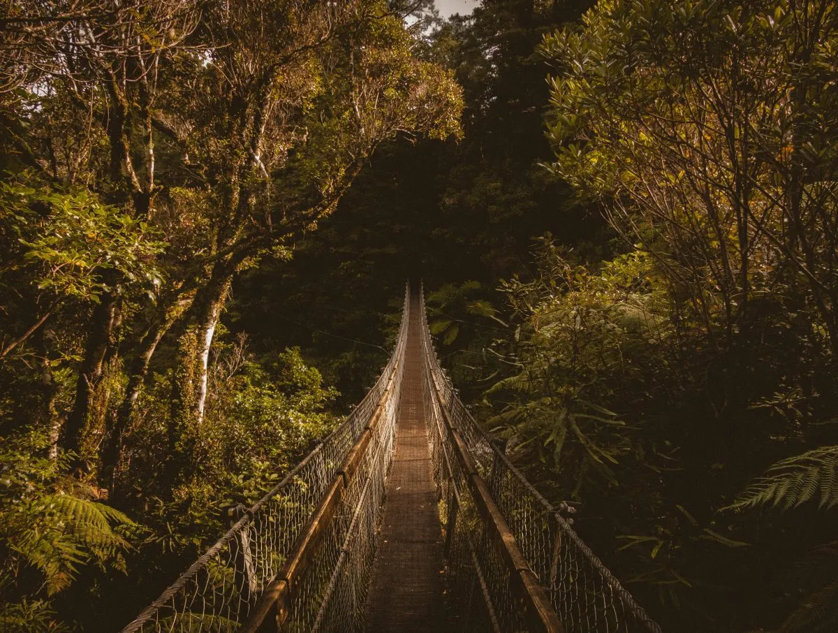 Why Financial Planning Is Becoming Essential for Kiwis; Not a “Nice to Have”