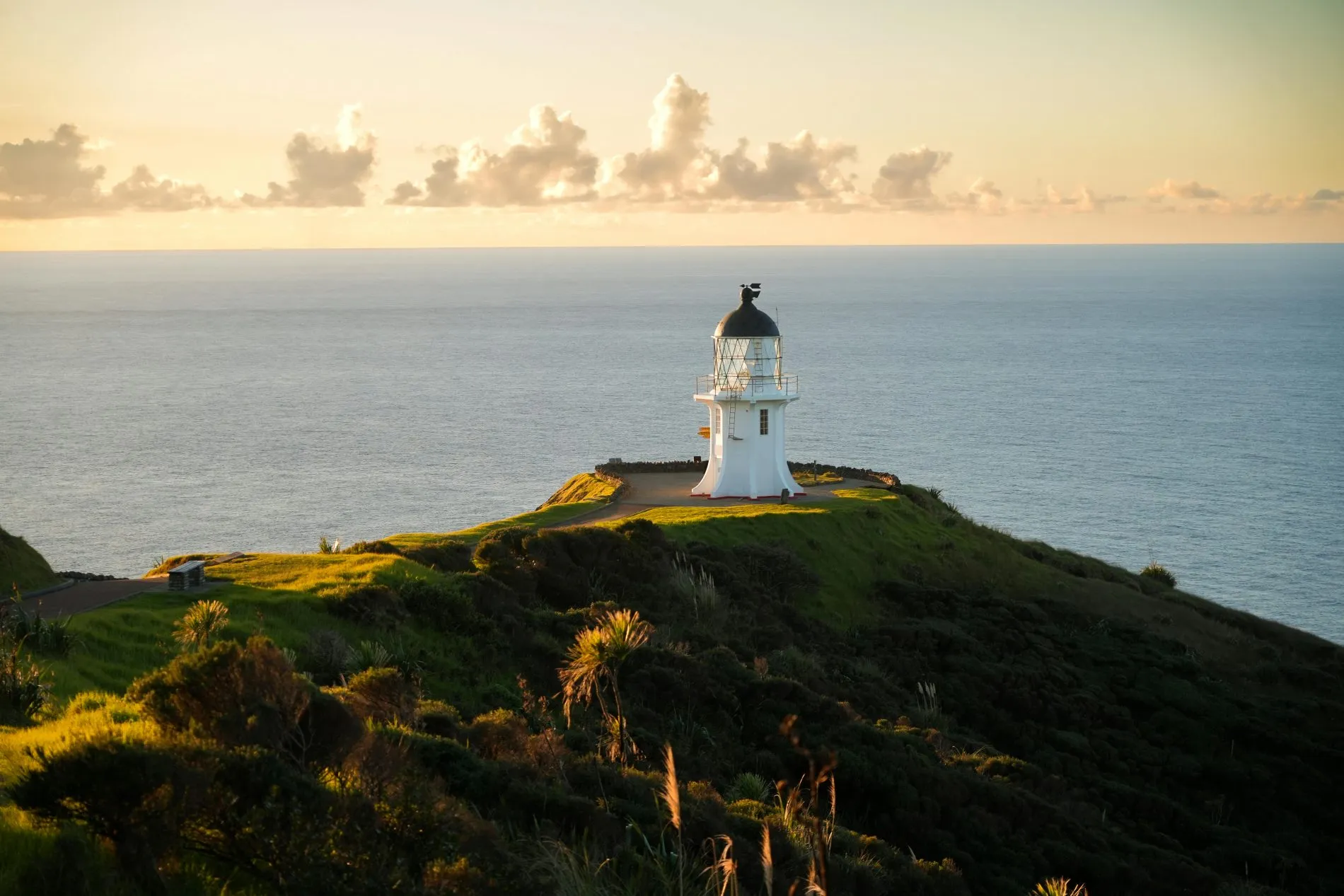 Life Insurance in NZ Is Getting Pricier. Here’s Why You Should Review It Soon