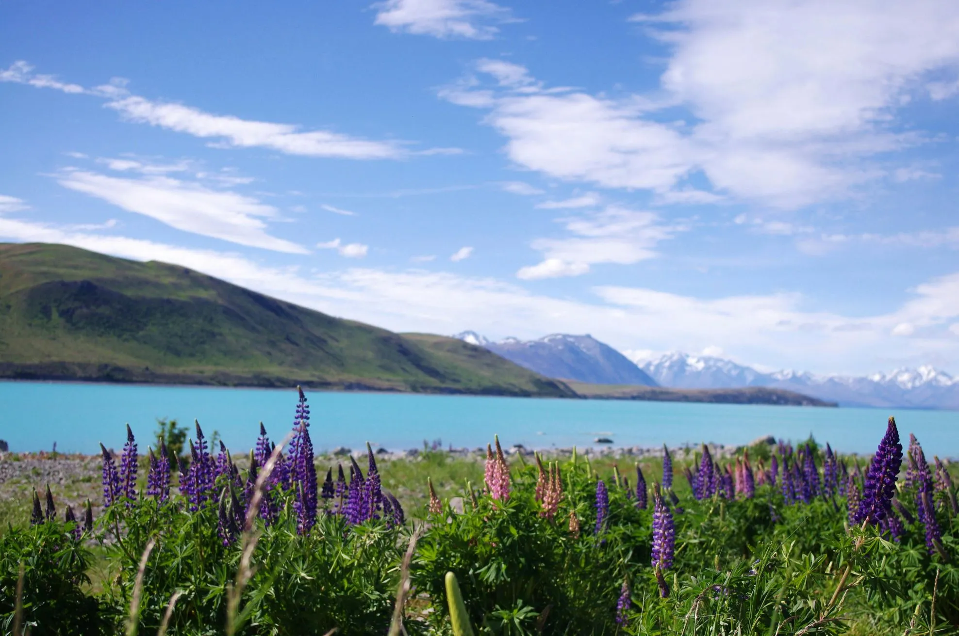 When Should You Reduce or Cancel Your Life Insurance in New Zealand?