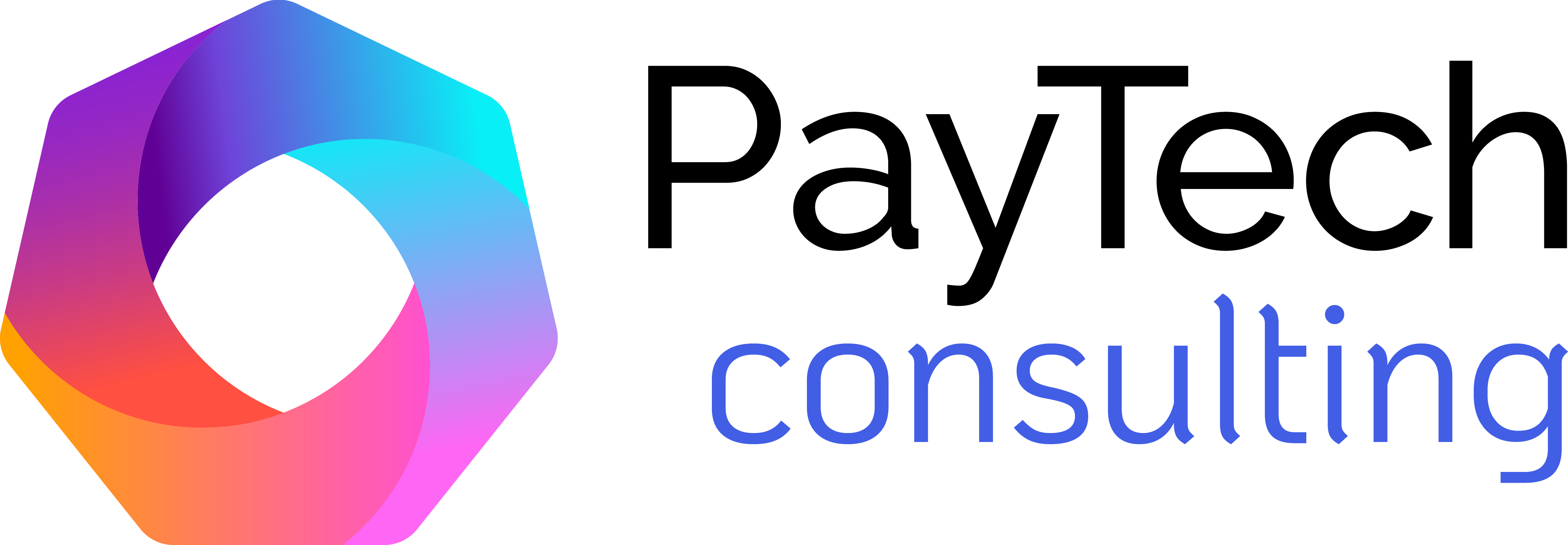 PayTech Consulting