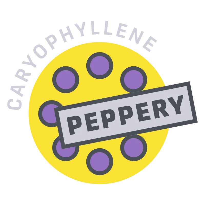 peppery cannabis terpenes icon with yellow circle and grey pepper spots