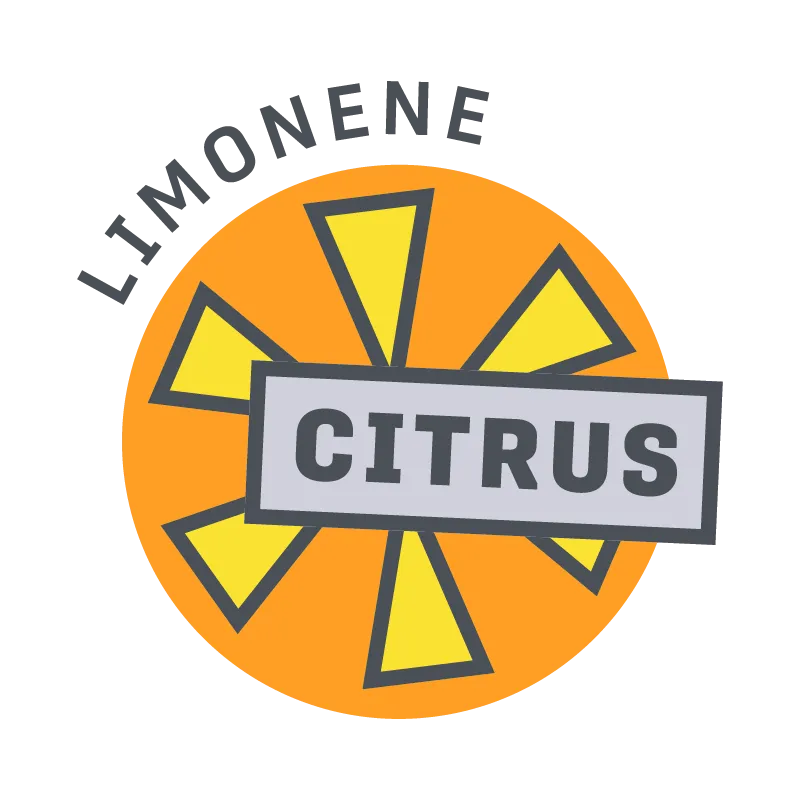 cannabis terpenes icon for citrus marijuana terpene orange circle with yellow sun