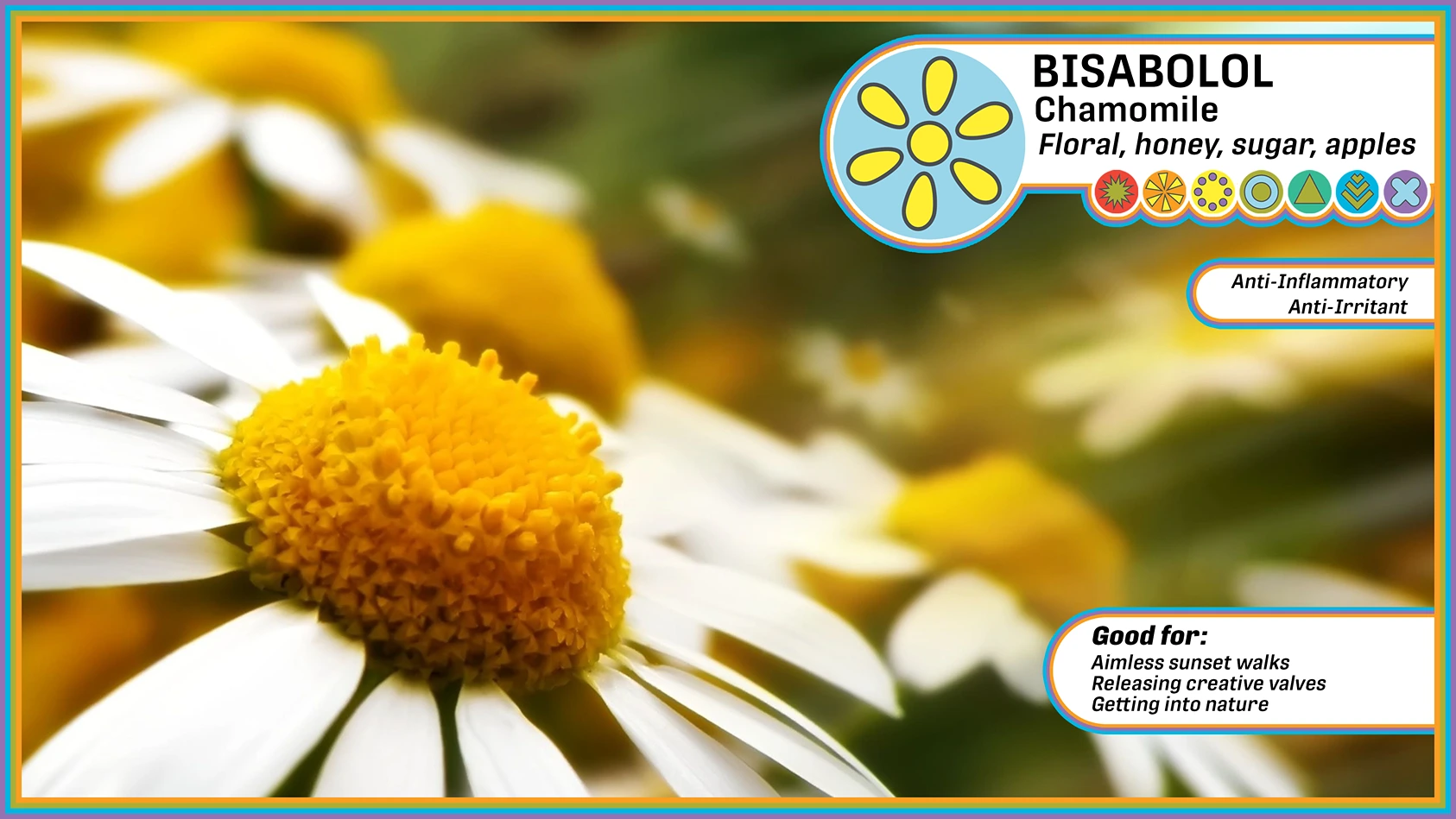 Bisabolol - Chamomile, honey, sugar, apples flavour poster