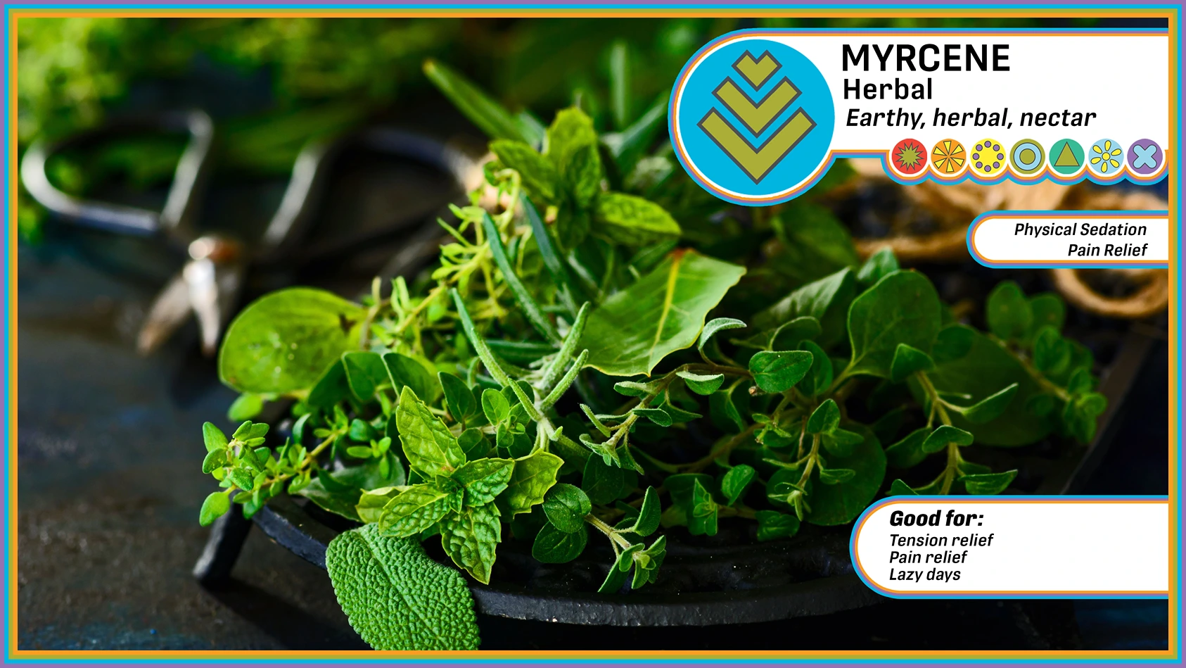 Myrcene herbal - earthy, herbal, nectar - poster of the flavor