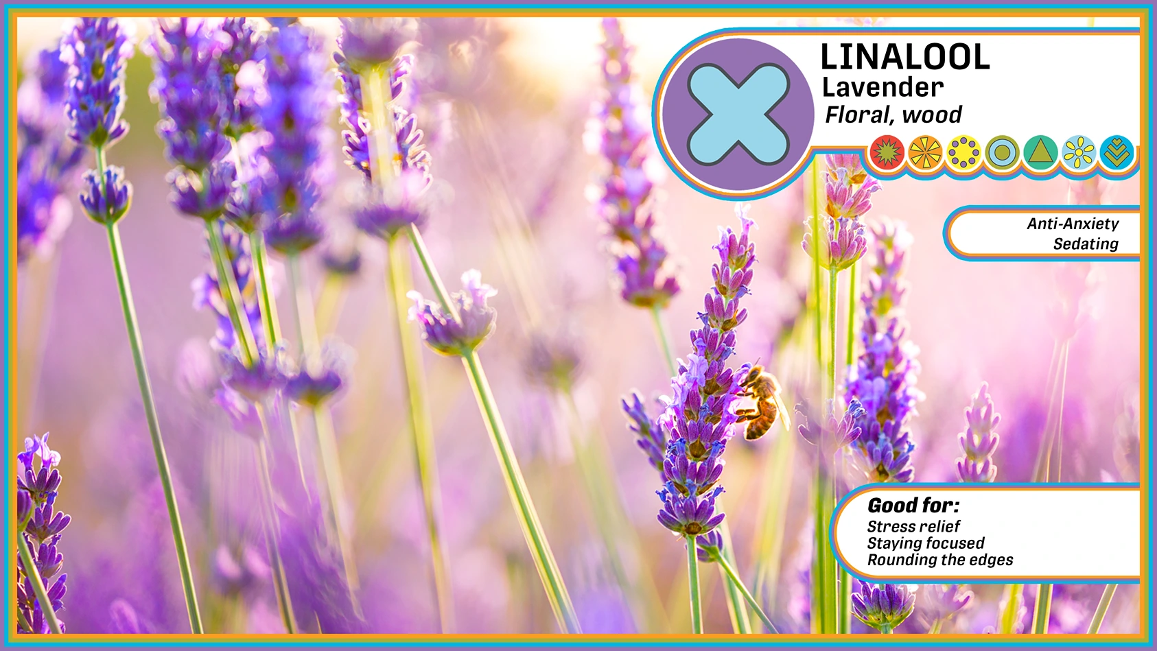 Linalool Lavender, Floral Wood, with image of lavender plant in the background