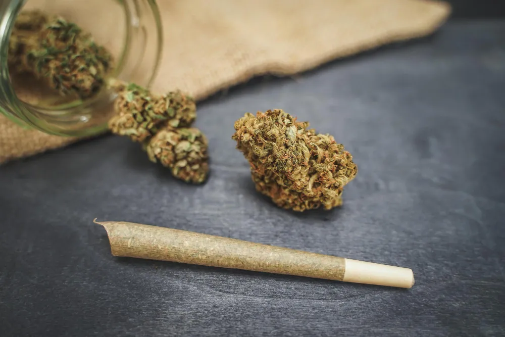 CBD Medical, hemp leaves, organic and natural