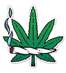 Cannabis leaf
