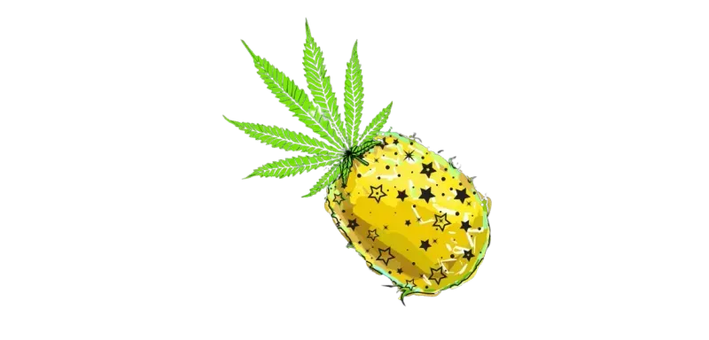Potency Supercharged: Sort Weed by THC and Terpenes