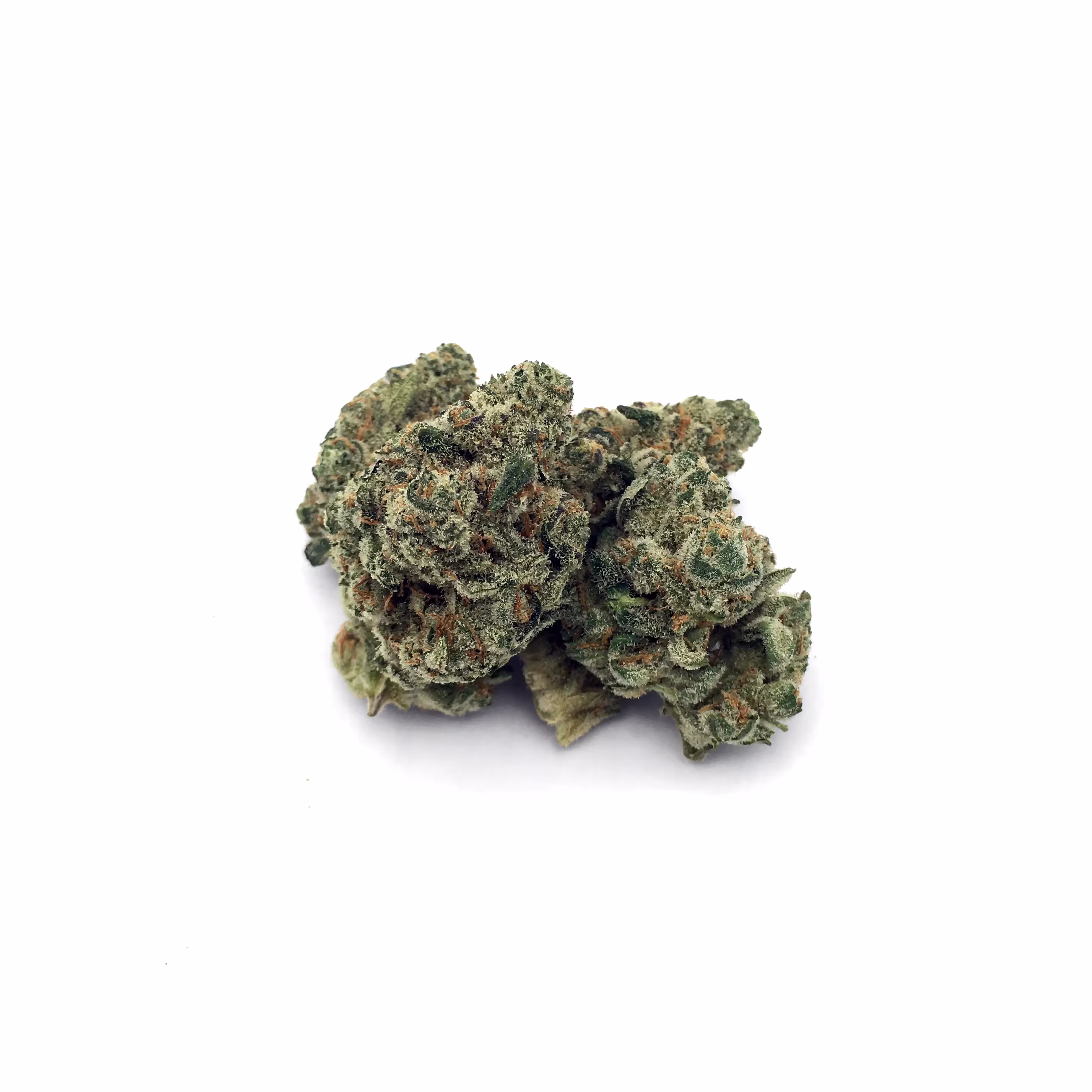 Professor Chaos | 1/8 oz.
