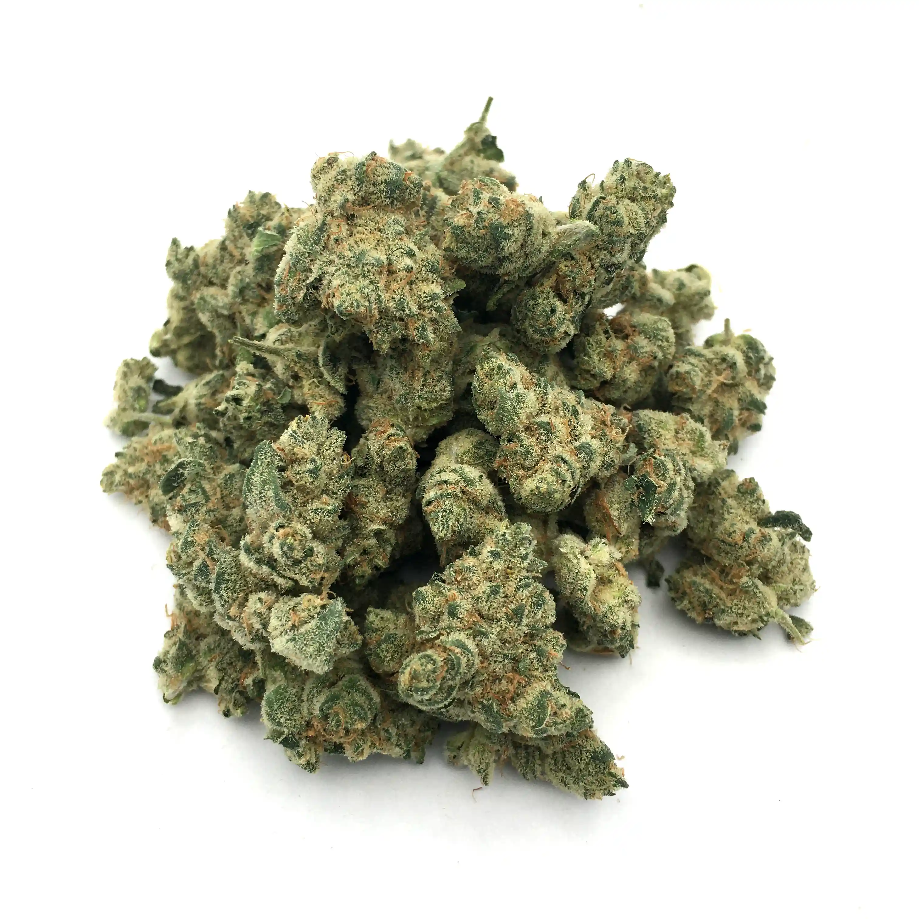 Headphones Jam | Mini-Buds | 1/4 oz.