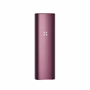 Pax Plus | Elderberry