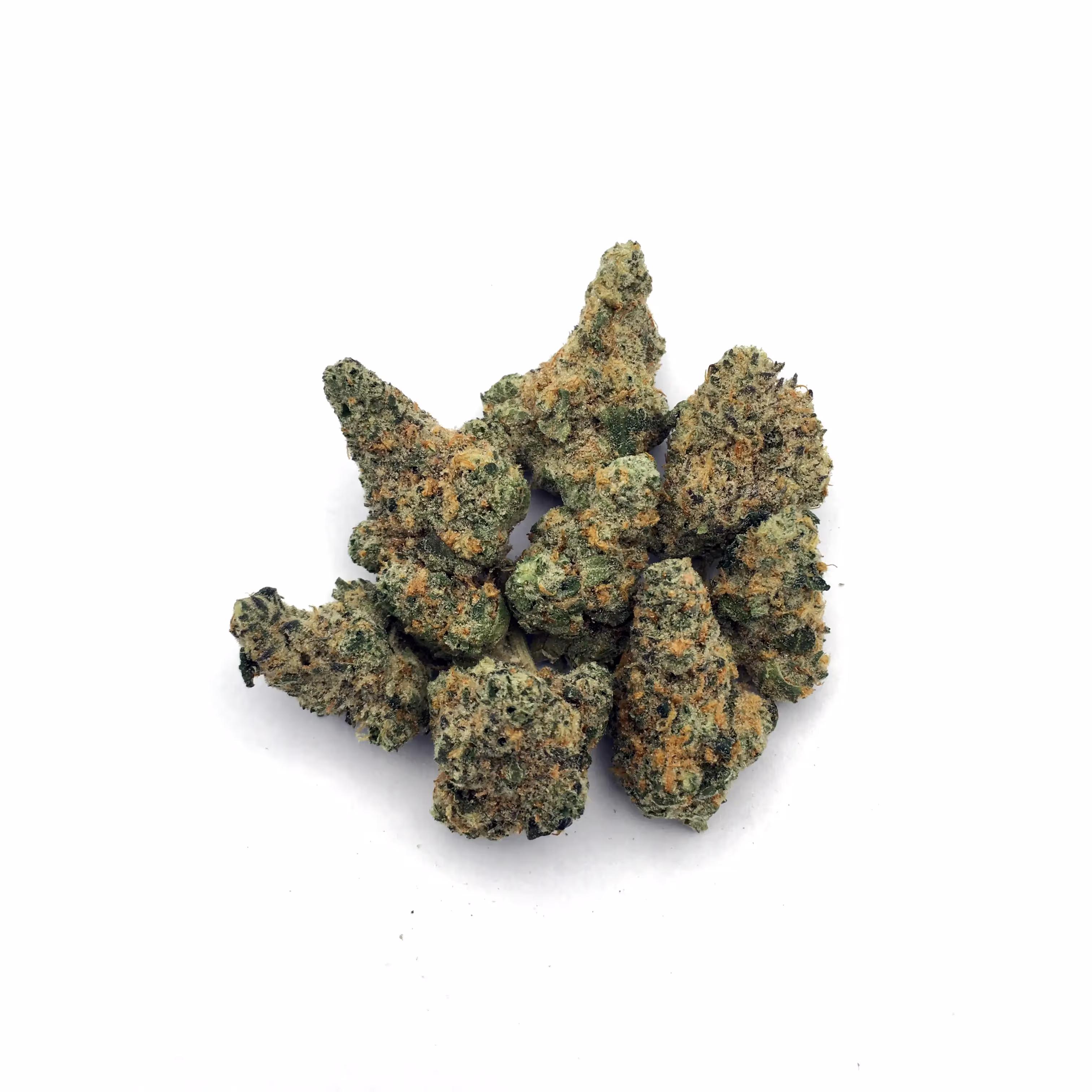 Governmint Oasis | Mini-Buds | 1/8 oz.